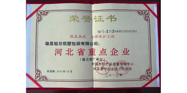 重點(diǎn)企業(yè)